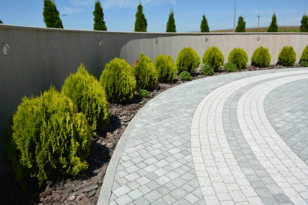 Best Driveway Paving Company  in Beechwood Village, KY